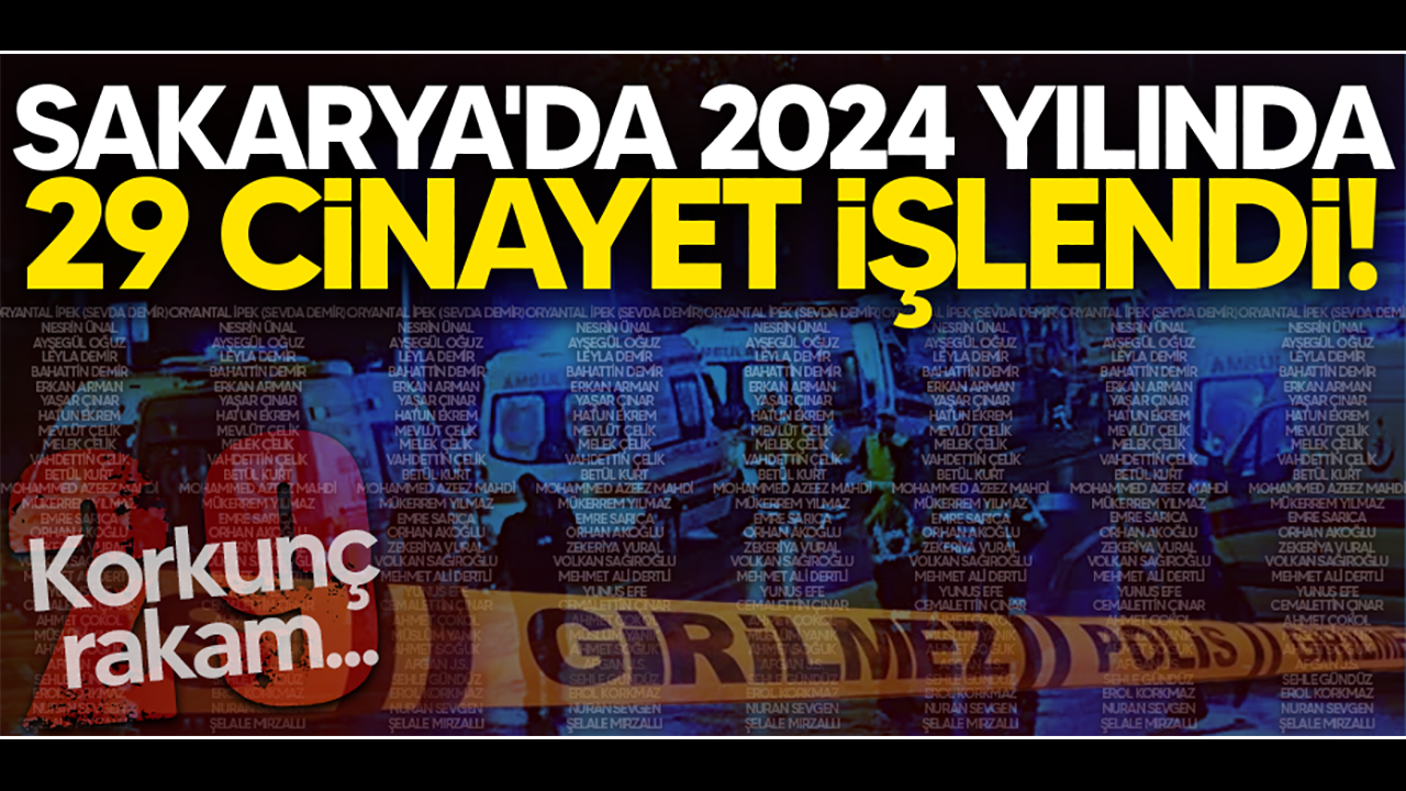 Sakarya'da 2024 yılında 29 cinayet işlendi!