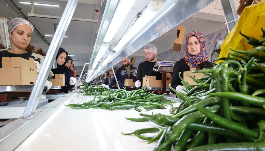 Antalya Büyükşehir Belediyesi israfı önlüyor, yerel üreticiyi destekliyor!