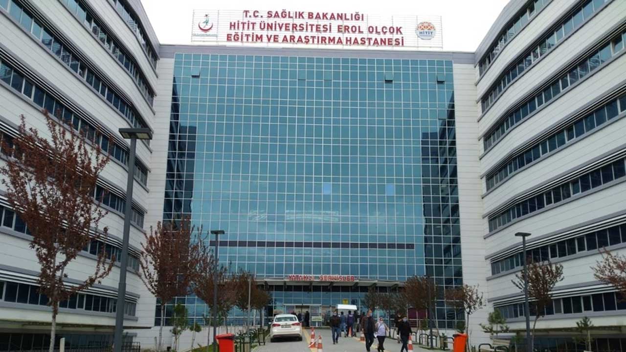 Çorum'da başıboş köpek dehşeti: Üç kişi yaralandı