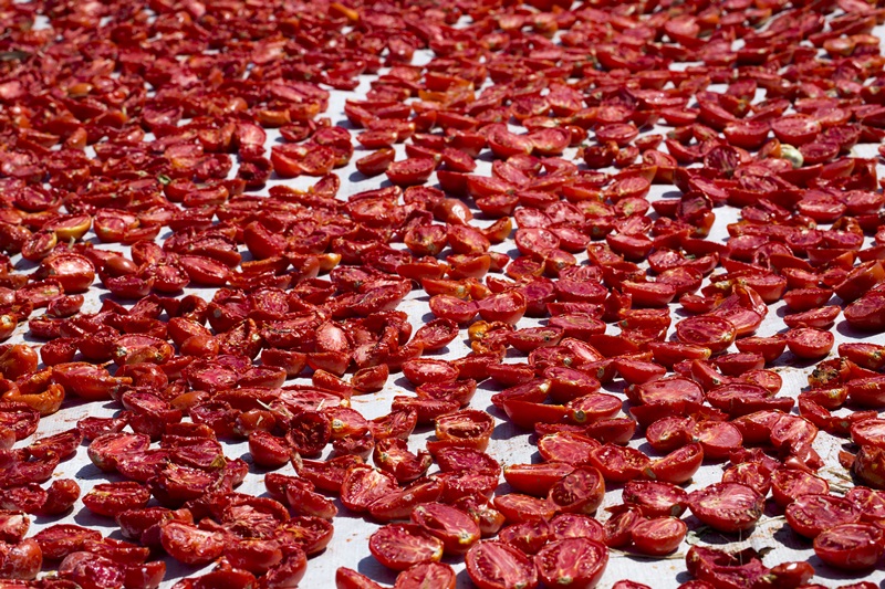 Kuru domates ihracatı 127 milyon doları aştı