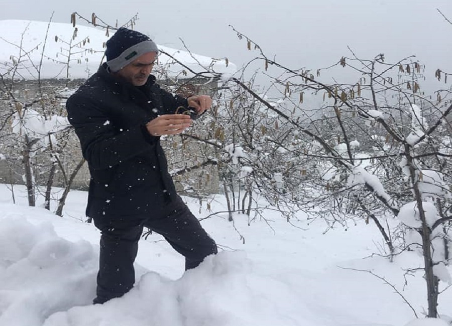 Fındık üreticisine sigorta uyarısı