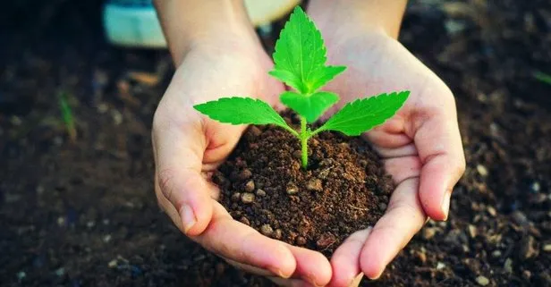 OGM, 500 milyon fidanı toprakla buluşturdu