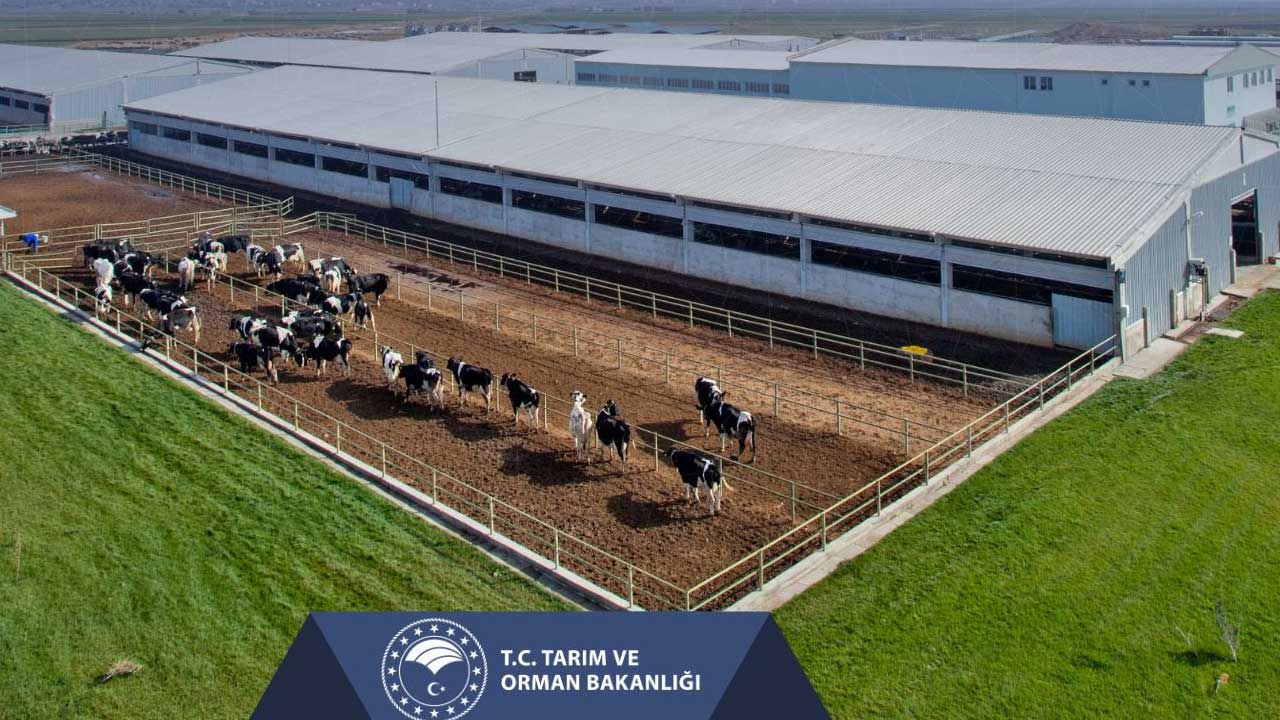 Tarım ve Orman Bakanlığı, çiftçilerin destek ödemesini hesaplarına aktarıyor
