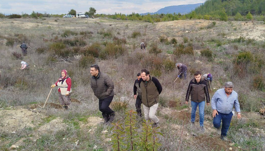 Bucak ormanında 2025 bakım programı çalışmaları denetlendi