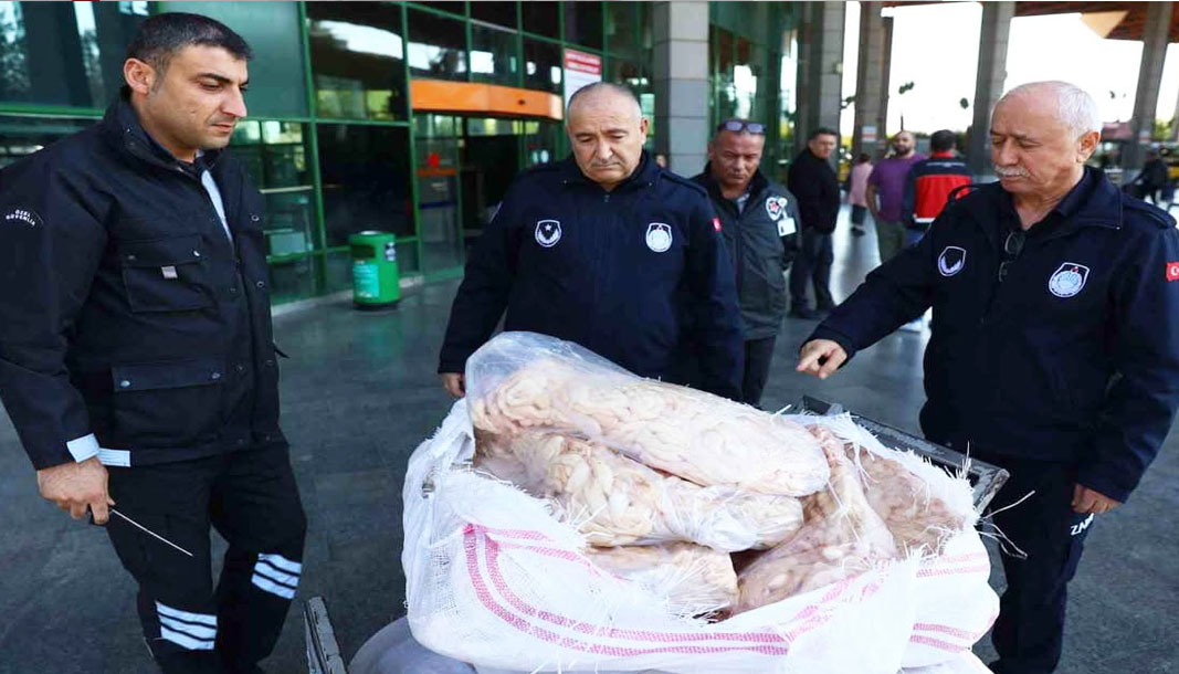 Şanlıurfa’dan Antalya’ya gönderilen 300 kilogram sakatata el konuldu