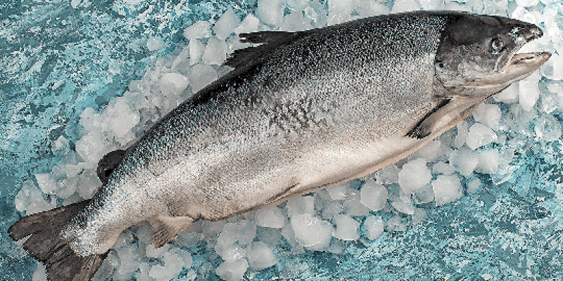 Doğu Karadeniz'den 2 ayda 8,6 milyon dolar somon ihracatı