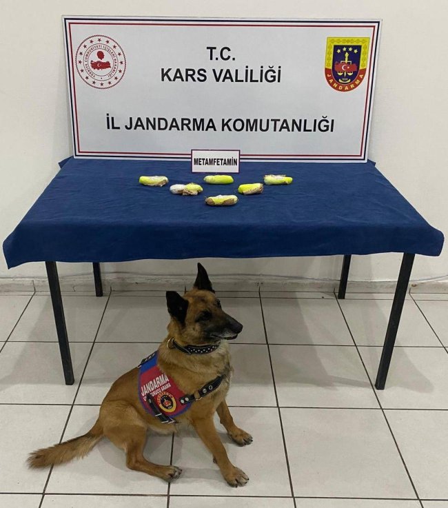 Kars'ta arama köpeği “Tabya” zehir tacirlerine geçit vermiyor!