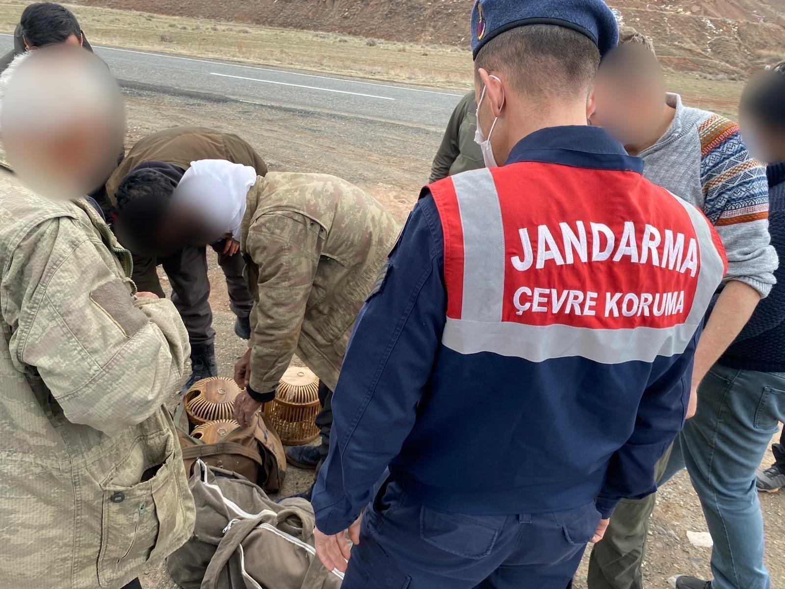 Kars Jandarma Komutanlığı, Kağızman'da kaçak avcıları yakaladı