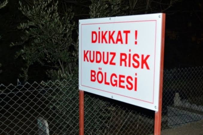 Adıyaman'da kuduz alarmı: Köseceli beldesi karantinada!