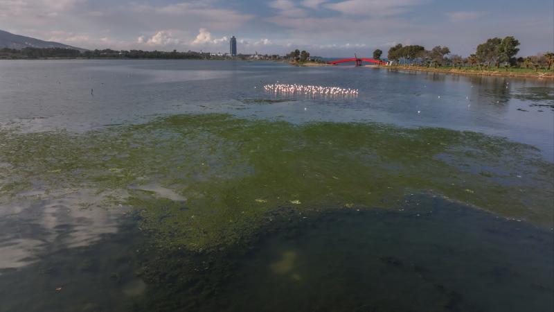 İzmir Büyükşehir Belediyesi'ne çevre cezası:1 milyon 858 bin lira