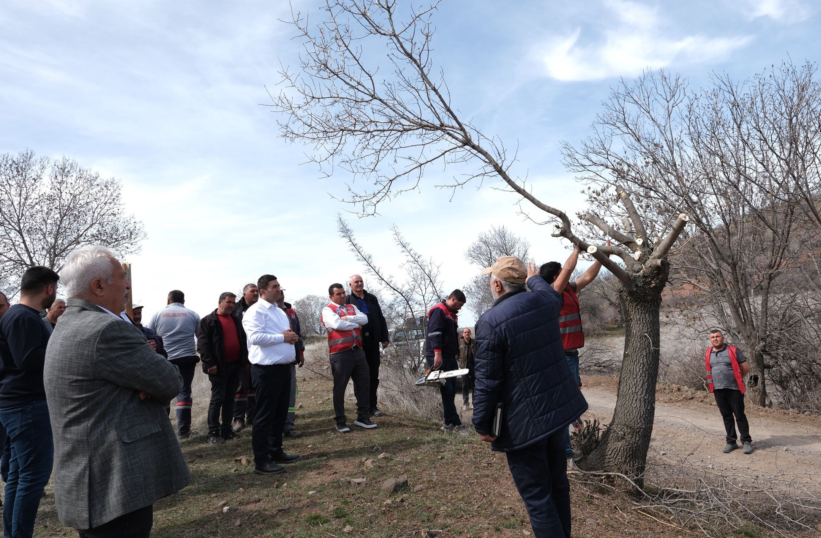 2 binin üzerinde Sakızlık ağacına Macun Mahallesinde aşılama