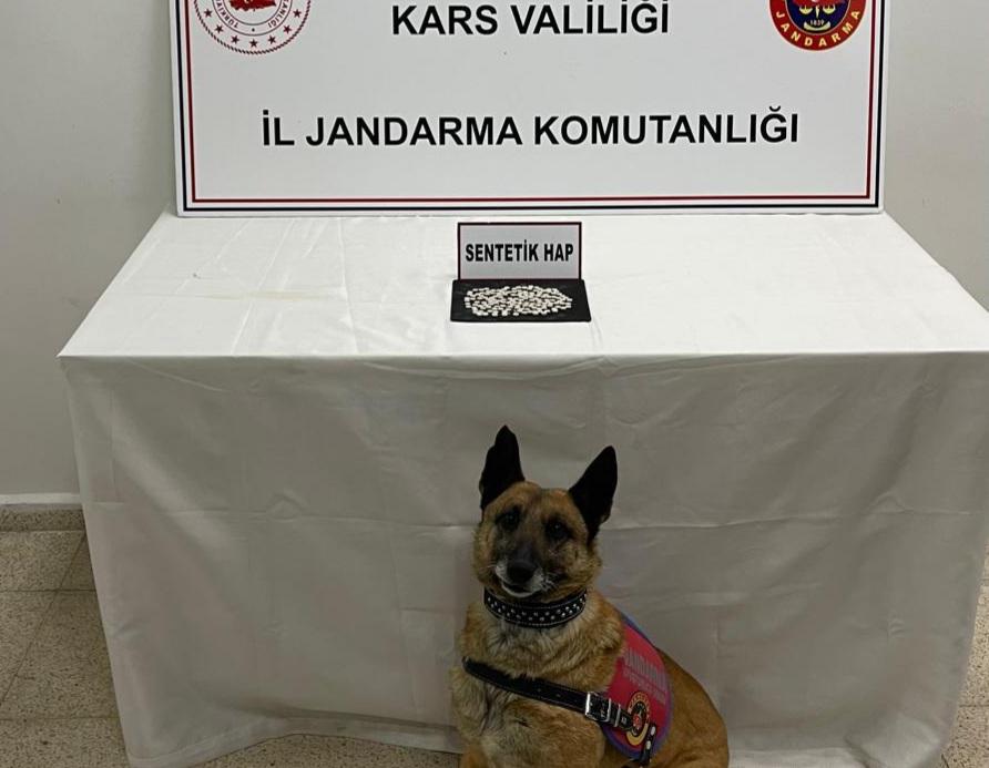 Kars'ta “Tabla” narkotik köpeği yine geçit vermedi