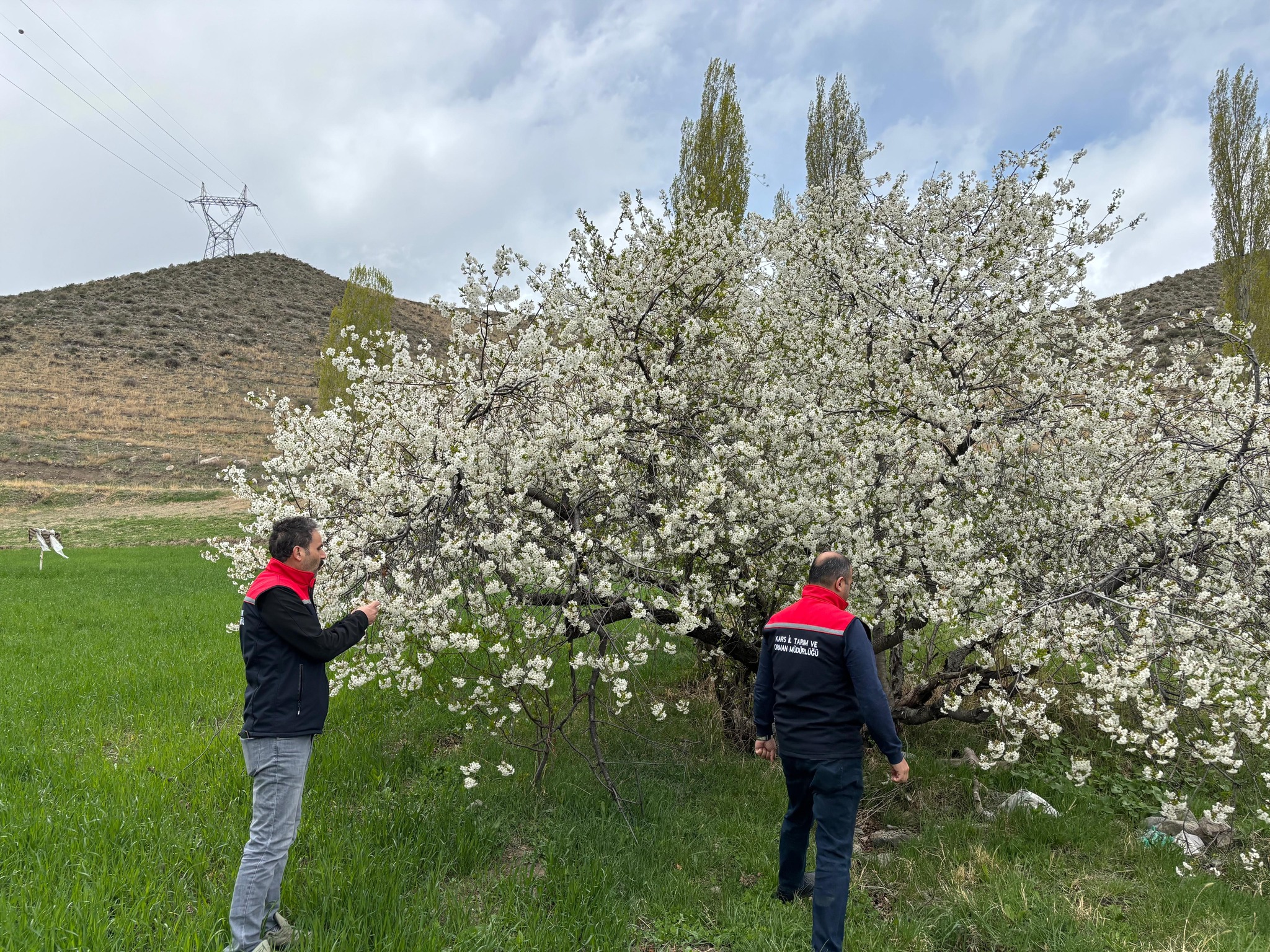 Zirai Don Tehlikesine karşı çiftçileri uyarı