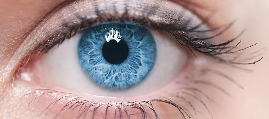 Görme kaybı tarihe karışıyor: Yeni tedavi, retina hasarını onarıyor