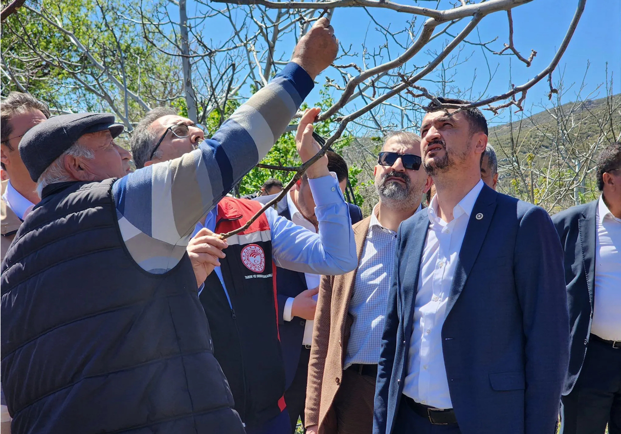 Bakan Yardımcısı Gümen, Burdur'da zirai dondan etkilenen üreticilerle bir araya geldi