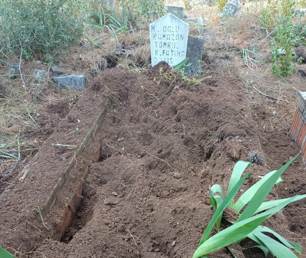 Antalya’da yaban domuzları mezarlığa zarar verdi: Mahalle sakinlerinden önlem talebi