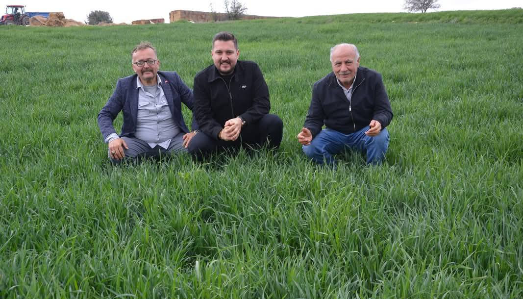 Yağışlar Antalyalı çiftçilerini sevindirdi