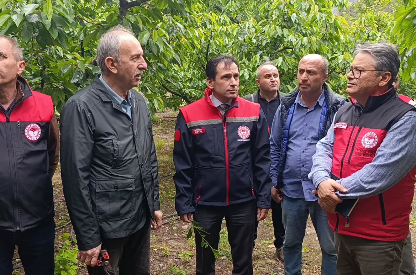 Tarım uzmanları Amasya’da don hasarını yerinde inceledi