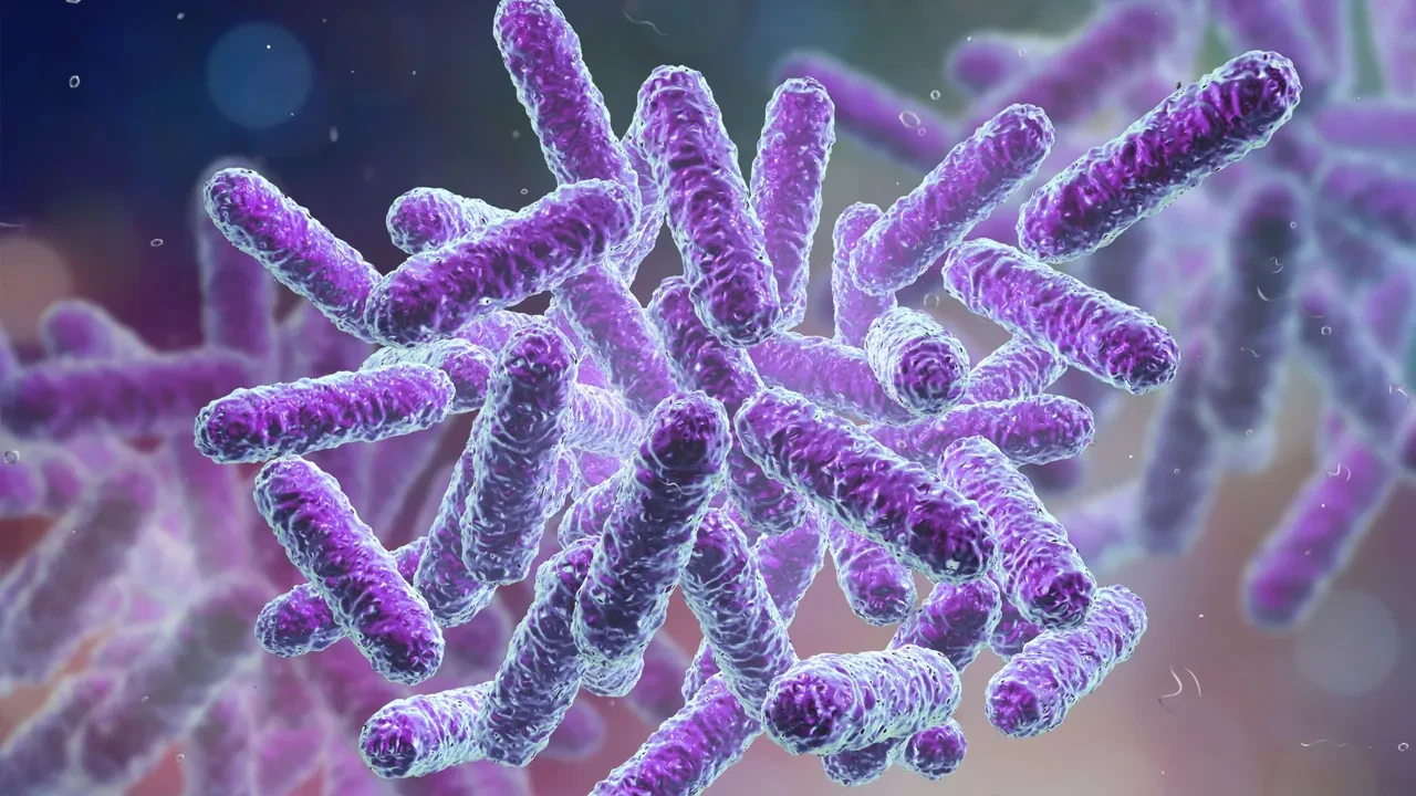 Mikroskobik mucize: Oregon'da elektrik ileten bakteri keşfedildi