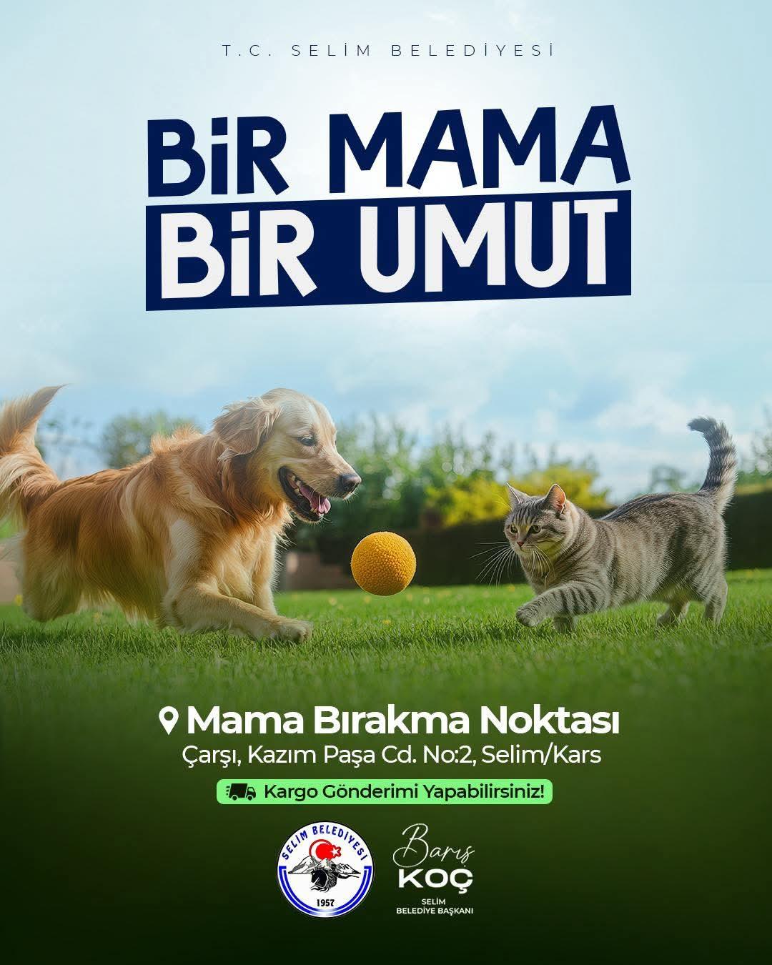 Selim Belediyesi'nden sokak hayvanlarına destek: "1 Mama 1 Umut"