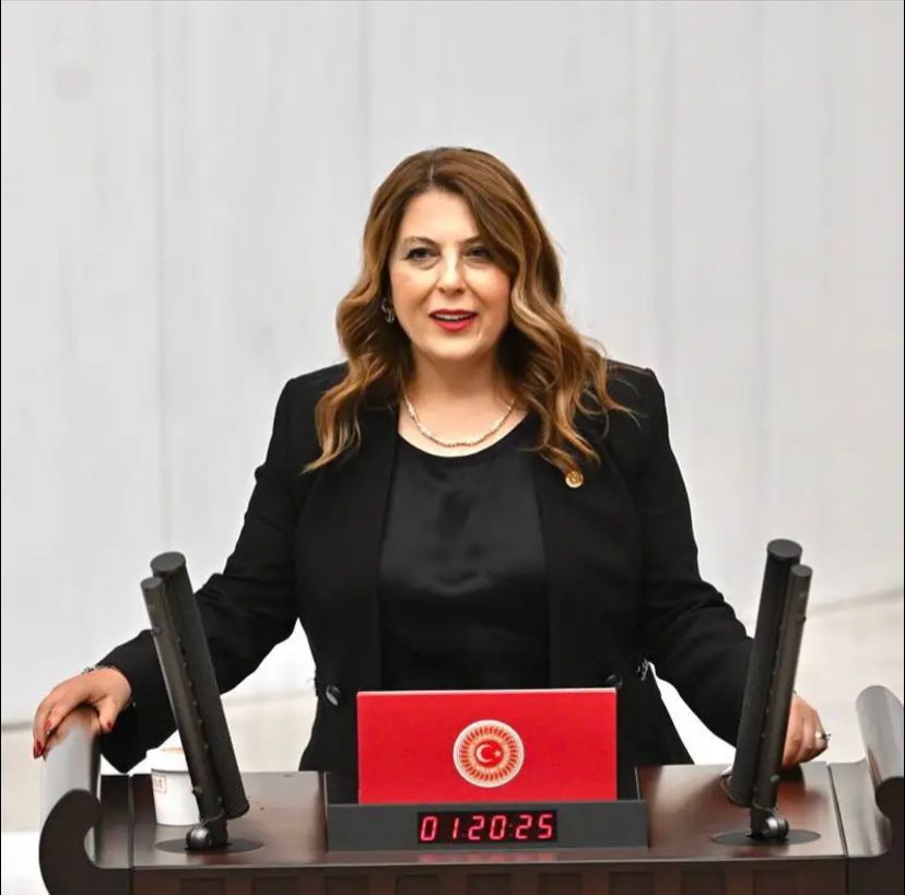 Elvan Işık Gezmiş: Vahşi madencilik köylerimizi etkiliyor