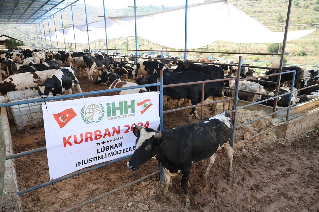 İHH Kurban Bayramı’nda 60 ülkeye ulaşmayı hedefliyor