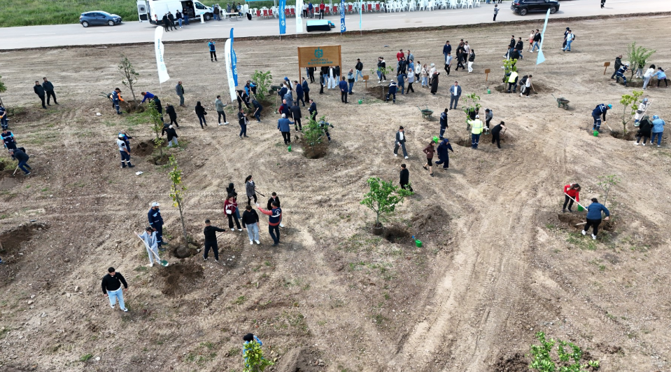 Kocaeli’nde binlerce fidan toprakla buluştu