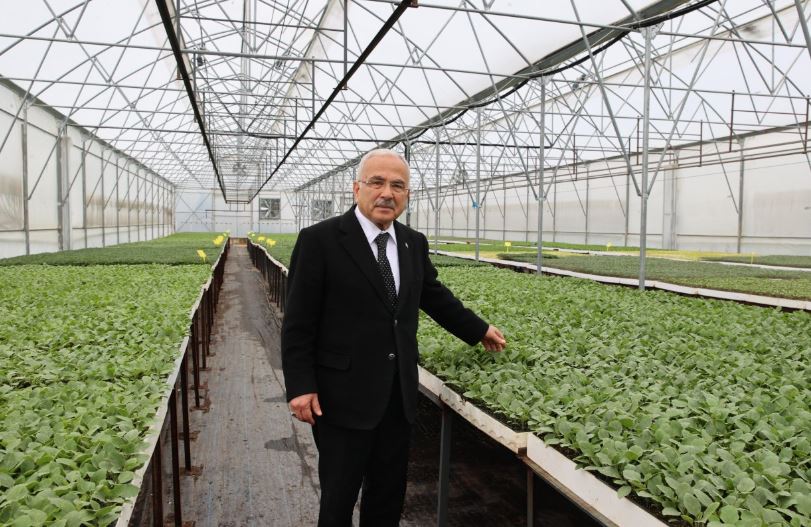 Ordu Büyükşehir, 5 yılda 4 milyon sebze fidesi dağıttı