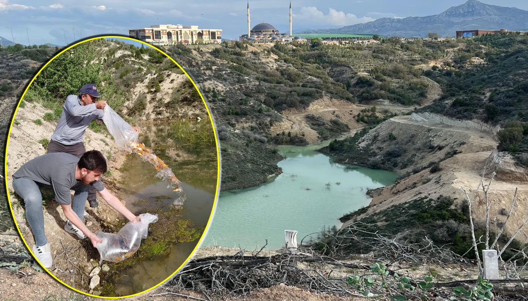 MAKÜ'de ekolojik yaşam alanındaki gölete bin balık bırakıldı