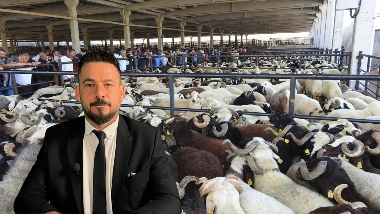 Ferit Akkurt’tan kurbanlık seçimi ve kesim rehberi: “Kurban kesimi hijyenik, ruhsatlı alanlarda yapılmalı”