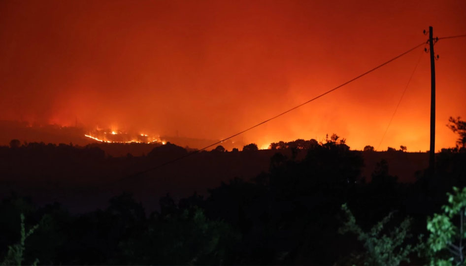 Bilecik’te korkutan orman yangını