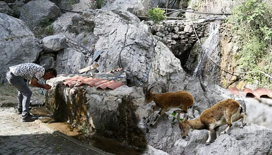 Finike'de kuraklık alarmı: Aykırtça şelalesi kuruyor
