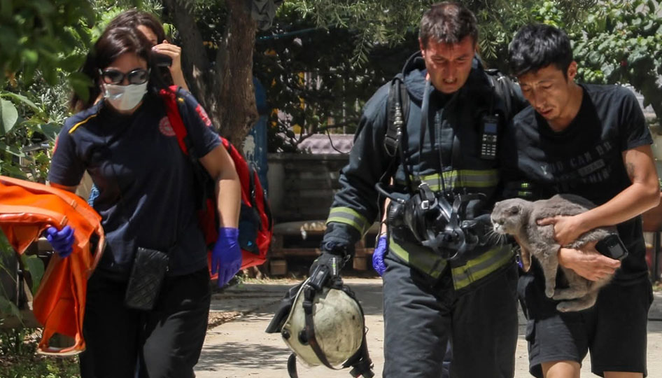 Yangında mahsur kaldığı evde kedisini bir an olsun bırakmadı