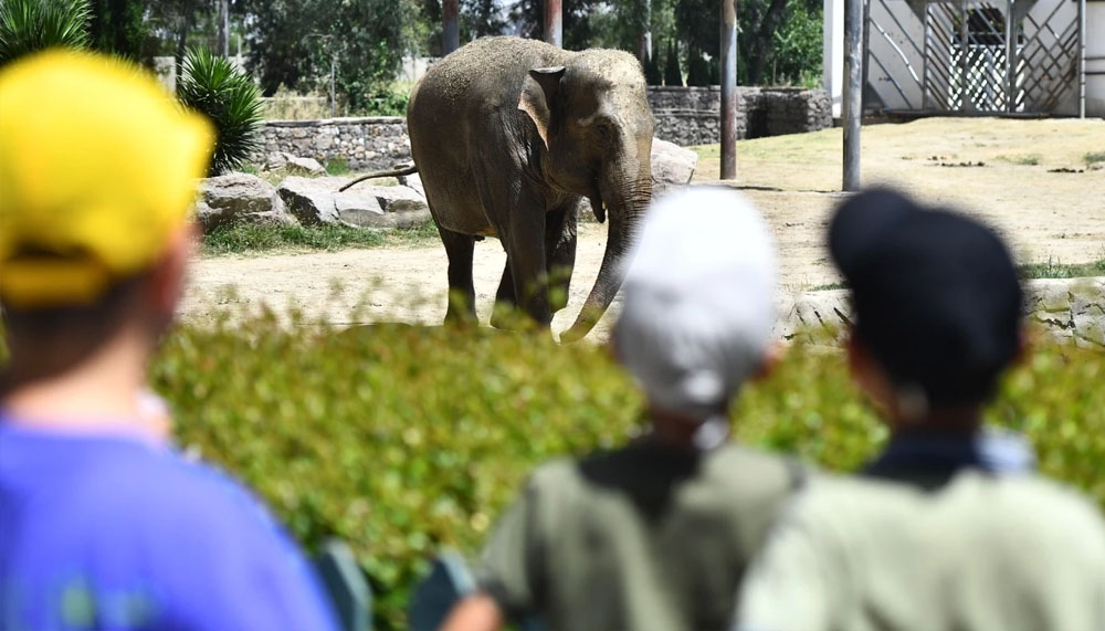 İzmir Doğal Yaşam Parkı bayramda ziyaretçileri bekliyor