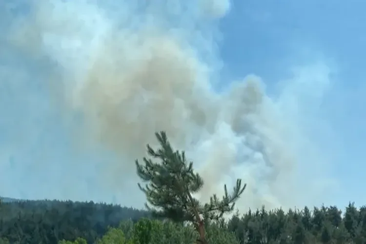 Hakkari Şemdinli’de orman yangını