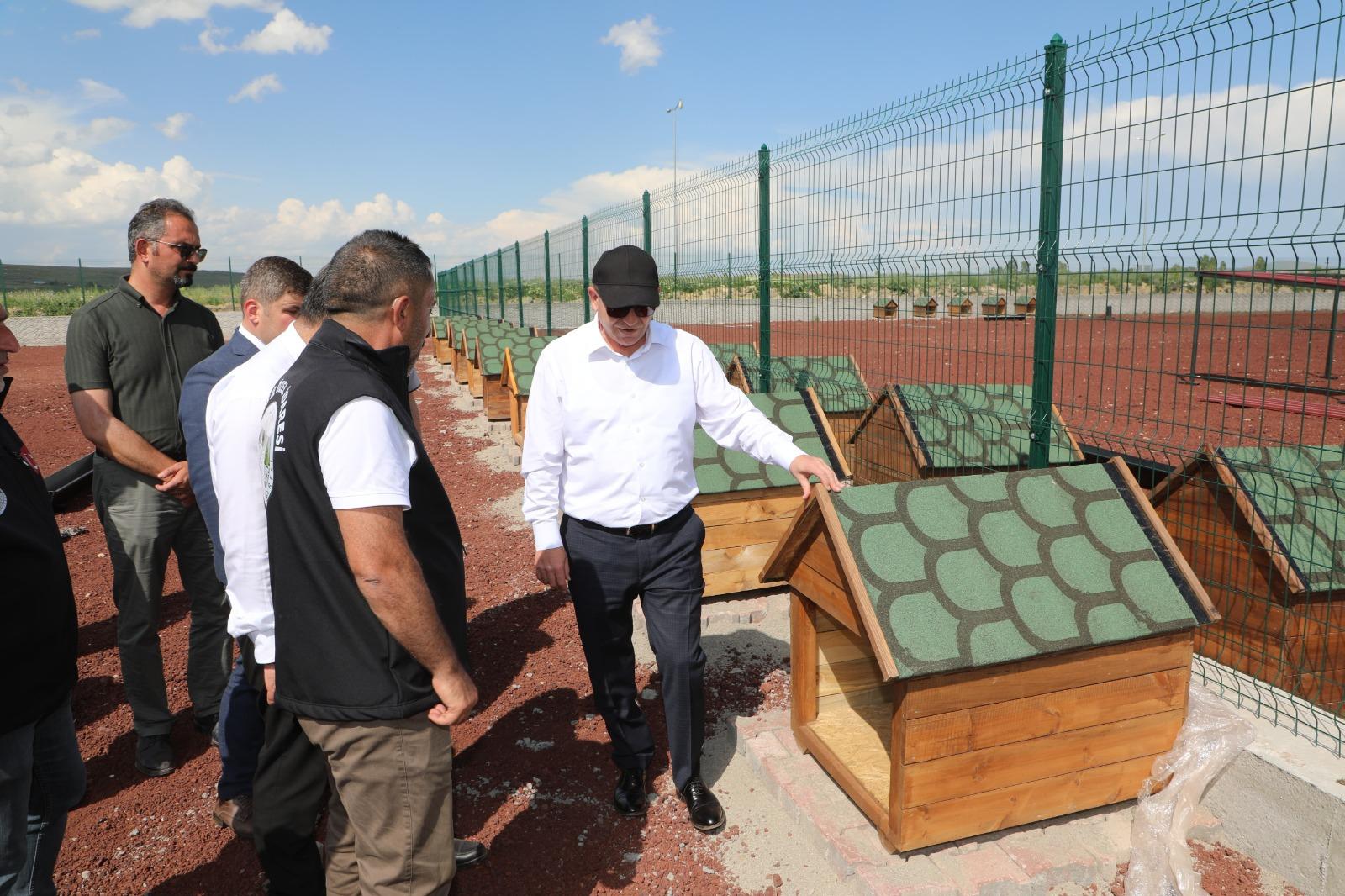 Kars’ta sokak hayvanları için doğal yaşam alanı kuruluyor