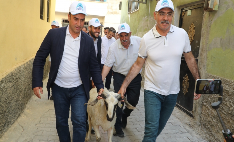 Eyyübiye Belediyesi yetim ailelere kurbanlık dağıttı