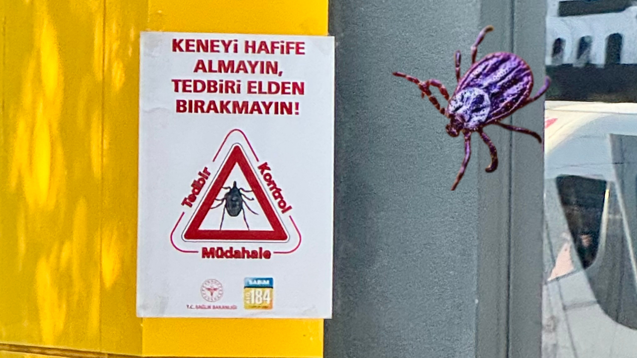 Sincan’da kene tedbirleri: Bakanlık uyarısı sokaklara taştı