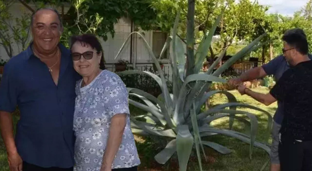 Antalya’da 100 yılda bir çiçek açan ağaç bulundu