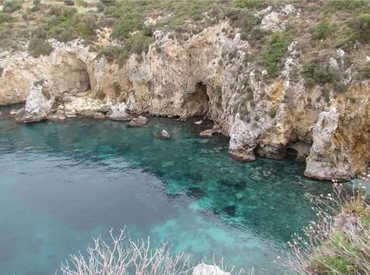 Kuşadası’nda nadir ziyaretçi: Akdeniz foku görüntülendi!