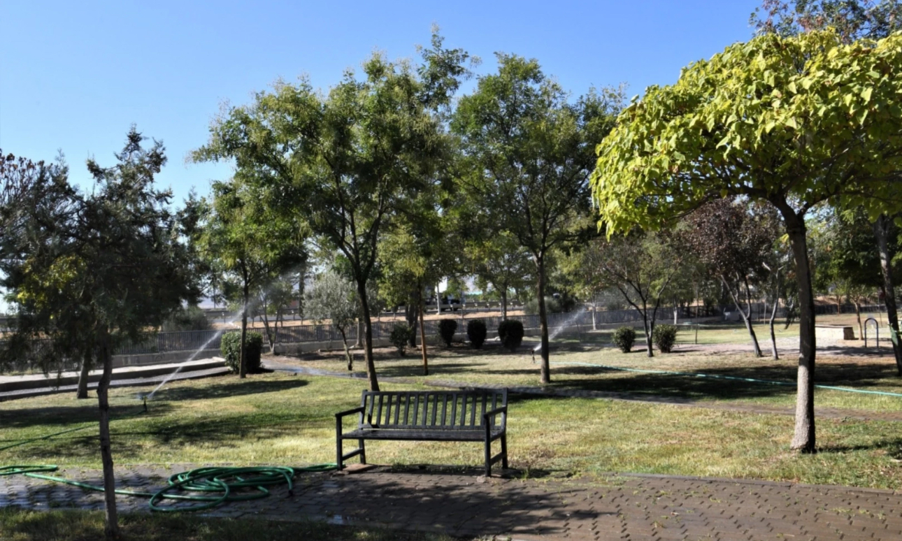 İzmir Bornova’dan 'Yeşil Dönüşüm' hamlesi