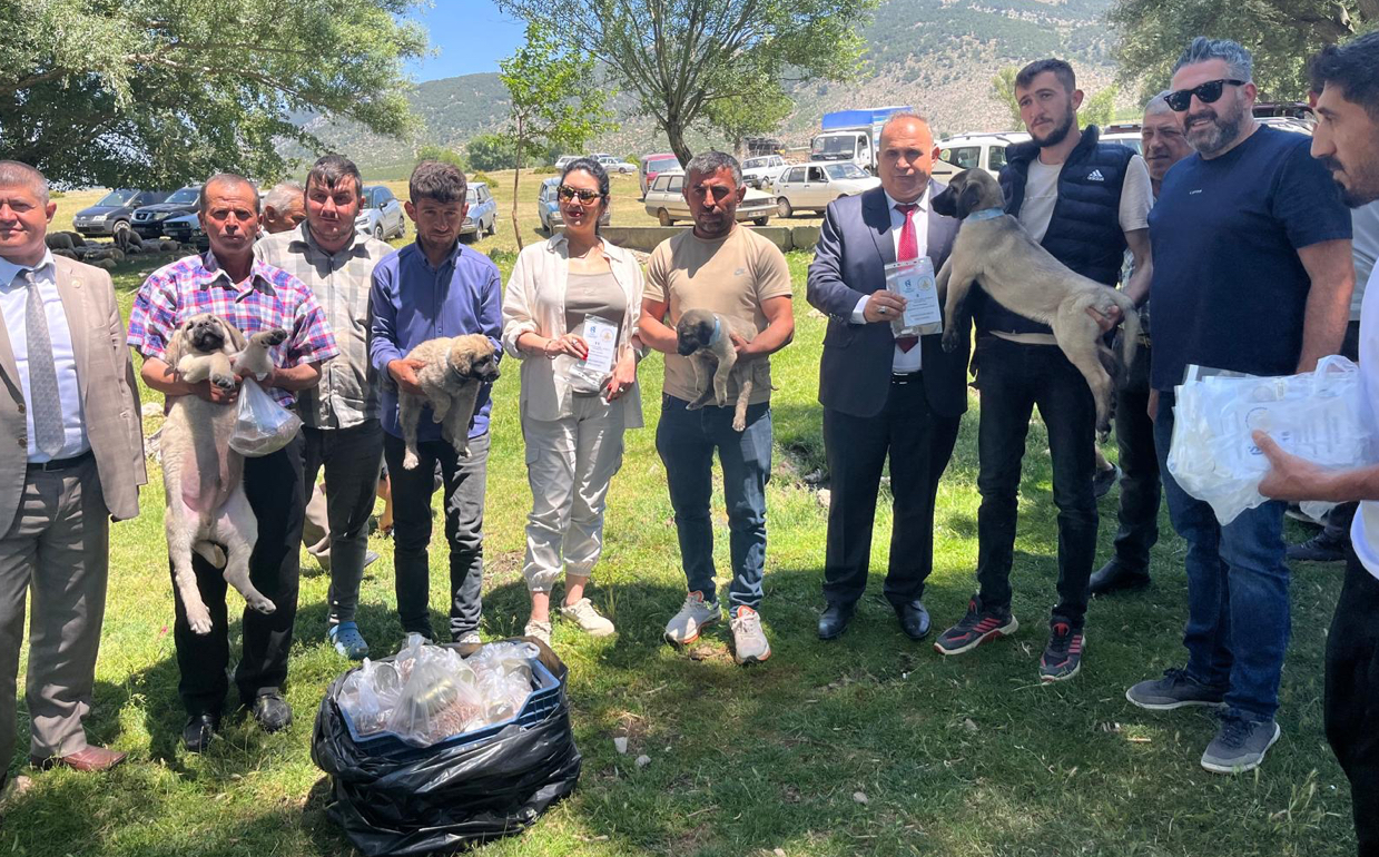 Isparta’da kurt sorununa çoban köpeği çözümü