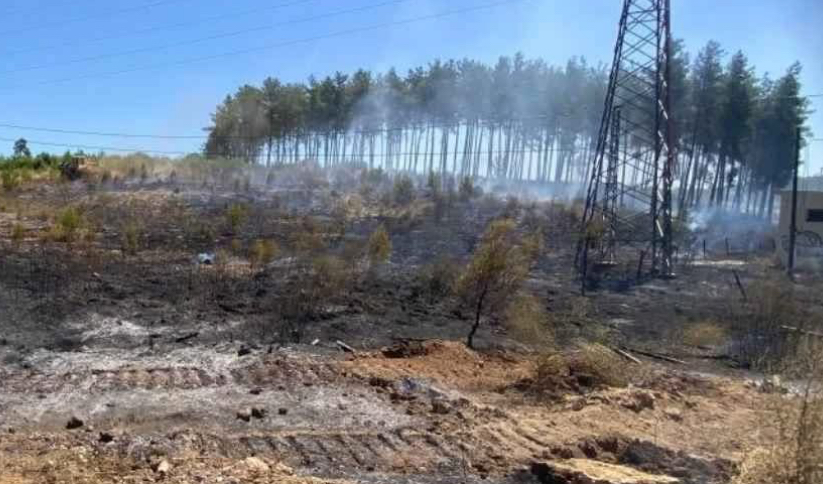 Antalya Aksu’da orman yangını kısa sürede söndürüldü