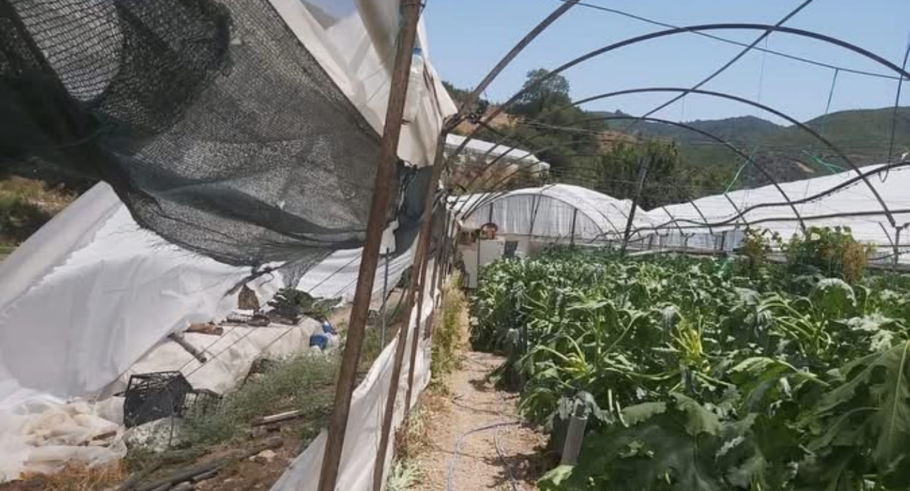 Kumluca'da hortum seraları vurdu: Çiftçiler zarar gördü