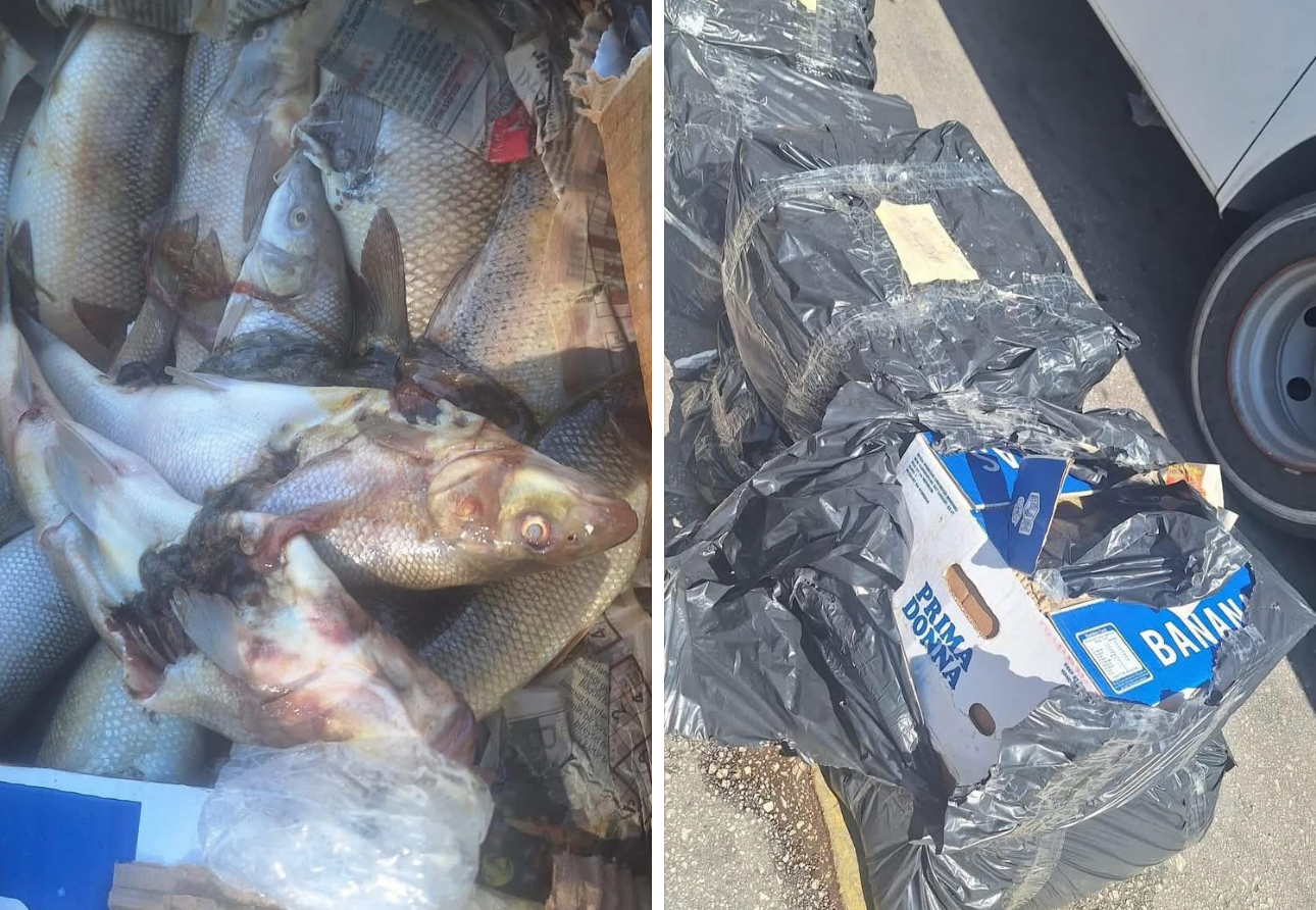 Antalya Otogarı’nda su ürünlerine denetim: 100 kg ürüne el konuldu