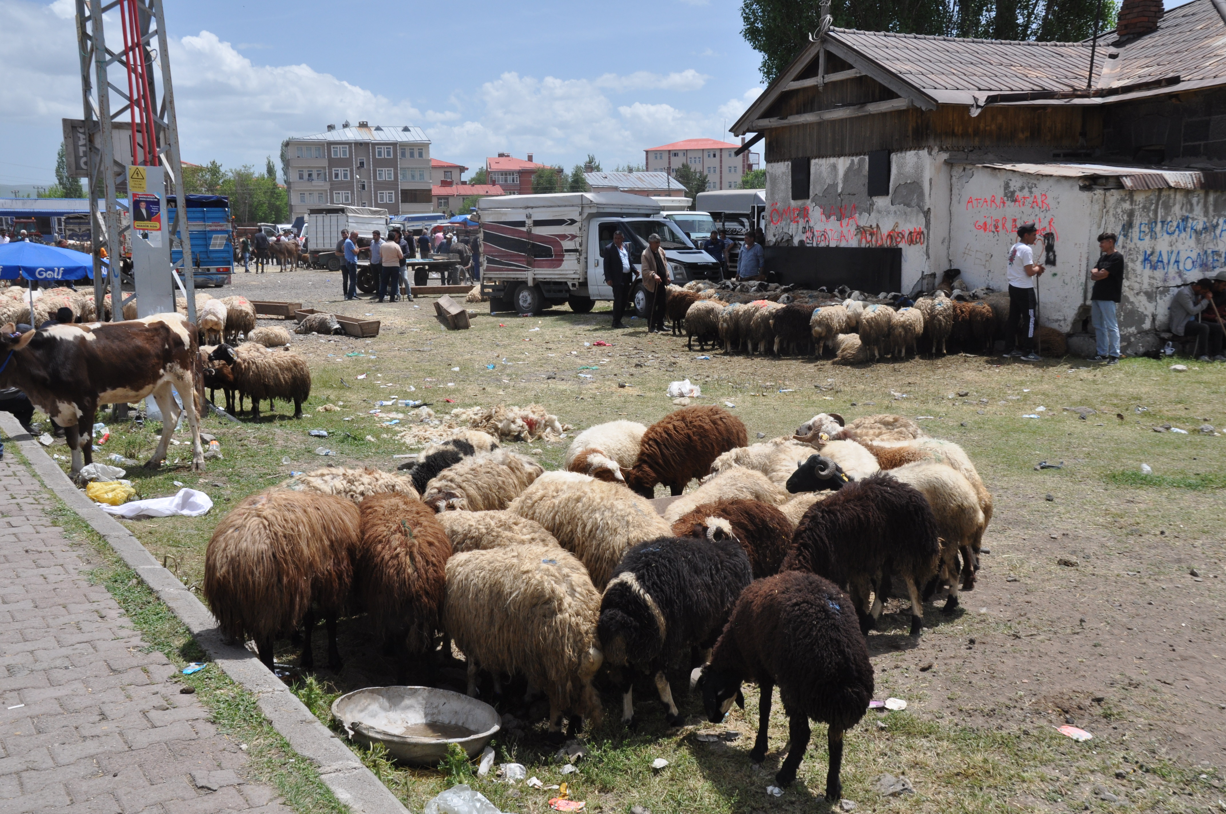 Kars’ta Kurban Bayramı yoğunluğu: Çarşı, pazar ve trafikte hareketlilik arttı