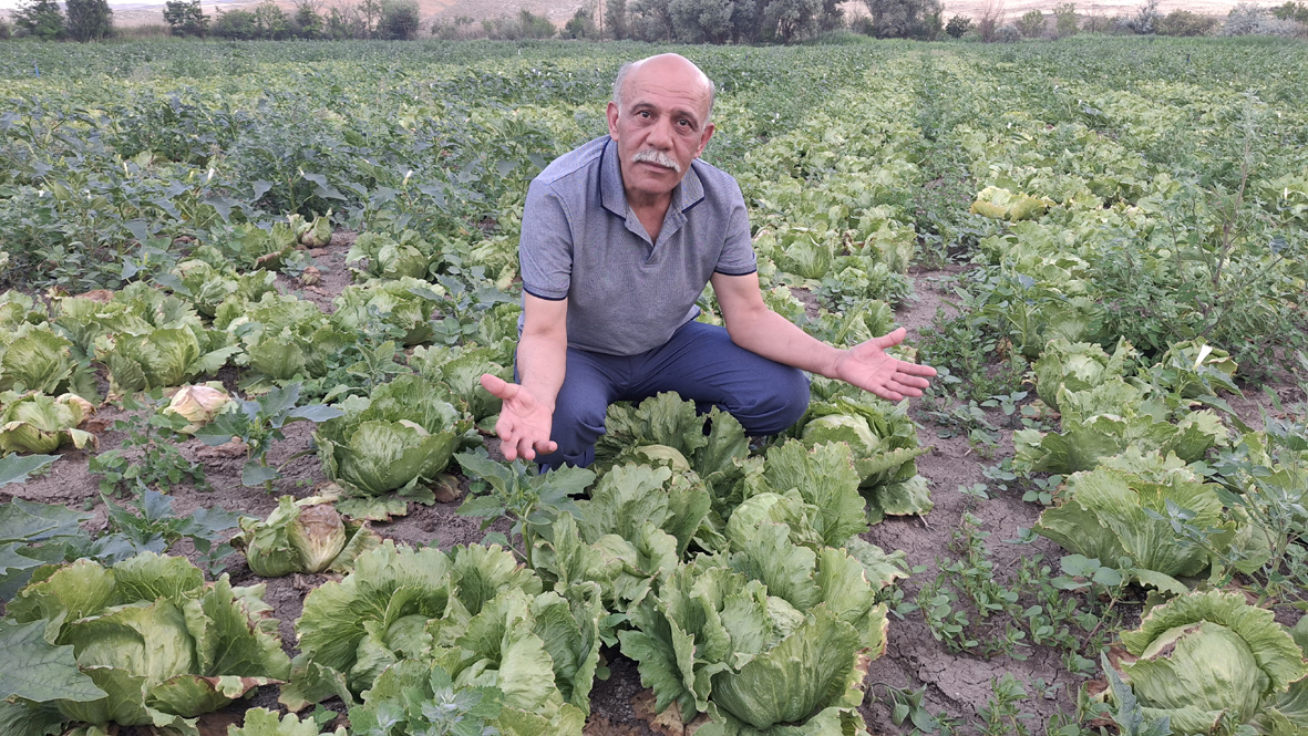 DP’li Atak: “Çiftçi üretiyor ama emeği tarlada kalıyor”