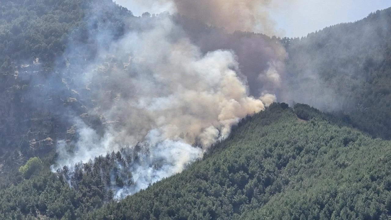 Son 10 günde çıkan 761 yangının tamamı kontrol altına alındı