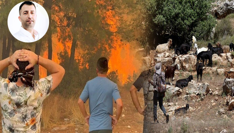 Bir kara keçinin yokluğu bin ağaç yakar