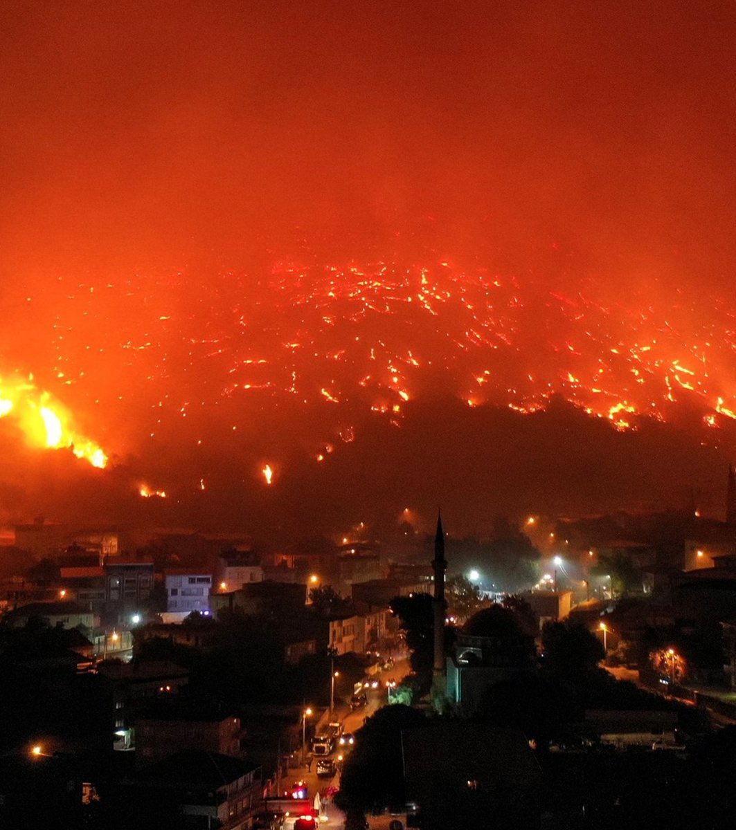 Türkiye dört bir yanında çıkan yangınlarla mücadele ediyor: Havadan ve karadan müdahale sürüyor